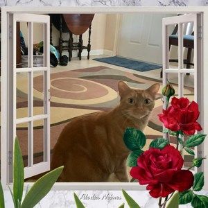 Meet your Posher, Dianna